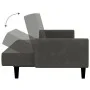 Sofá cama de 2 plazas terciopelo gris oscuro de , Sofás - Ref: Foro24-375775, Precio: 274,40 €, Descuento: %