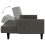 Sofá cama de 2 plazas terciopelo gris oscuro de , Sofás - Ref: Foro24-375775, Precio: 279,24 €, Descuento: %