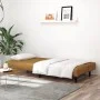 Sofá cama de 2 plazas terciopelo marrón de , Sofás - Ref: Foro24-375934, Precio: 224,20 €, Descuento: %