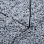 Alfombra peluda de pelo largo moderna PAMPLONA azul Ø 200 cm de , Alfombras - Ref: Foro24-375335, Precio: 64,24 €, Descuento: %