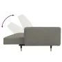 Sofá cama de 2 plazas con dos almohadas terciopelo gris claro de , Sofás - Ref: Foro24-375749, Precio: 291,03 €, Descuento: %