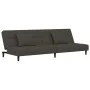 Sofá cama de 2 plazas con dos almohadas terciopelo gris oscuro de , Sofás - Ref: Foro24-375808, Precio: 245,68 €, Descuento: %