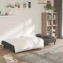 Sofá cama de 2 plazas con dos almohadas terciopelo gris oscuro de , Sofás - Ref: Foro24-375808, Precio: 245,68 €, Descuento: %
