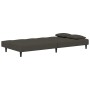 Sofá cama de 2 plazas con dos almohadas terciopelo gris oscuro de , Sofás - Ref: Foro24-375808, Precio: 250,51 €, Descuento: %