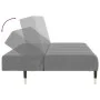 Sofá cama de 2 plazas terciopelo gris claro by , Sofas - Ref: Foro24-375874, Price: 254,72 €, Discount: %