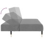 Sofá cama de 2 plazas terciopelo gris claro de , Sofás - Ref: Foro24-375874, Precio: 249,42 €, Descuento: %