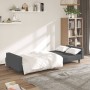 Sofá cama de 2 plazas terciopelo gris oscuro de , Sofás - Ref: Foro24-375938, Precio: 268,21 €, Descuento: %