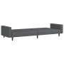 Sofá cama de 2 plazas terciopelo gris oscuro de , Sofás - Ref: Foro24-375938, Precio: 268,21 €, Descuento: %