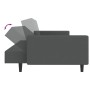 Sofá cama de 2 plazas terciopelo gris oscuro de , Sofás - Ref: Foro24-375938, Precio: 268,21 €, Descuento: %