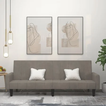 Sofá cama de 2 plazas terciopelo gris claro de , Sofás - Ref: Foro24-375774, Precio: 271,37 €, Descuento: %
