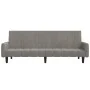 Sofá cama de 2 plazas terciopelo gris claro de , Sofás - Ref: Foro24-375774, Precio: 271,37 €, Descuento: %