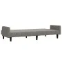 Sofá cama de 2 plazas terciopelo gris claro de , Sofás - Ref: Foro24-375774, Precio: 271,37 €, Descuento: %