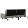 Sofá cama de 2 plazas terciopelo gris claro de , Sofás - Ref: Foro24-375774, Precio: 271,37 €, Descuento: %