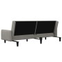 Sofá cama de 2 plazas terciopelo gris claro de , Sofás - Ref: Foro24-375774, Precio: 276,16 €, Descuento: %