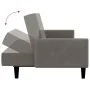 Sofá cama de 2 plazas terciopelo gris claro de , Sofás - Ref: Foro24-375774, Precio: 271,37 €, Descuento: %