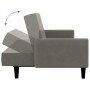 Sofá cama de 2 plazas terciopelo gris claro de , Sofás - Ref: Foro24-375774, Precio: 276,16 €, Descuento: %