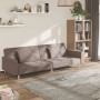Sofá cama de 2 plazas con dos almohadas tela gris taupe de , Sofás - Ref: Foro24-375805, Precio: 295,76 €, Descuento: %