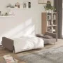 Sofá cama de 2 plazas con dos almohadas tela gris taupe de , Sofás - Ref: Foro24-375805, Precio: 292,08 €, Descuento: %