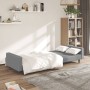 Sofá cama de 2 plazas terciopelo gris claro de , Sofás - Ref: Foro24-375937, Precio: 289,99 €, Descuento: %