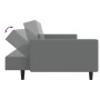 Sofá cama de 2 plazas terciopelo gris claro de , Sofás - Ref: Foro24-375937, Precio: 289,99 €, Descuento: %