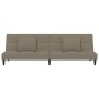 Sofá cama de 2 plazas con dos almohadas terciopelo gris claro de , Sofás - Ref: Foro24-375807, Precio: 252,14 €, Descuento: %