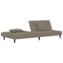 Sofá cama de 2 plazas con dos almohadas terciopelo gris claro de , Sofás - Ref: Foro24-375807, Precio: 252,14 €, Descuento: %