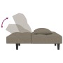 Sofá cama de 2 plazas con dos almohadas terciopelo gris claro de , Sofás - Ref: Foro24-375807, Precio: 252,14 €, Descuento: %