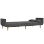 Sofá cama de 2 plazas con dos almohadas tela gris oscuro de , Sofás - Ref: Foro24-375870, Precio: 289,49 €, Descuento: %