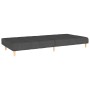 Sofá cama de 2 plazas tela gris oscuro de , Sofás - Ref: Foro24-375755, Precio: 249,04 €, Descuento: %