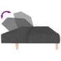 Sofá cama de 2 plazas tela gris oscuro de , Sofás - Ref: Foro24-375755, Precio: 249,04 €, Descuento: %