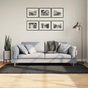 Alfombra pelo largo aspecto brillante ISTAN antracita 100x200cm de , Alfombras - Ref: Foro24-375639, Precio: 43,44 €, Descuen...