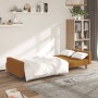 Sofá cama de 2 plazas terciopelo marrón de , Sofás - Ref: Foro24-375945, Precio: 268,52 €, Descuento: %