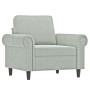 Juego de sofás con cojines 4 piezas terciopelo gris claro de , Sofás - Ref: Foro24-3202200, Precio: 837,27 €, Descuento: %
