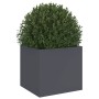 Jardinera de acero laminado en frío antracita 32x30x29 cm de , Maceteros y jardineras - Ref: Foro24-841539, Precio: 43,75 €, ...