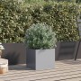 Jardinera de acero galvanizado plateado 32x30x29 cm de , Maceteros y jardineras - Ref: Foro24-841545, Precio: 32,19 €, Descue...