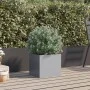 Jardinera de acero galvanizado plateado 32x30x29 cm de , Maceteros y jardineras - Ref: Foro24-841545, Precio: 29,46 €, Descue...
