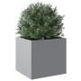 Jardinera de acero galvanizado plateado 32x30x29 cm de , Maceteros y jardineras - Ref: Foro24-841545, Precio: 32,19 €, Descue...