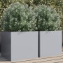 Jardineras 2 unidades acero galvanizado plateado 42x40x39 cm de , Maceteros y jardineras - Ref: Foro24-841558, Precio: 66,50 ...