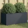 Jardinera de acero laminado en frío antracita 62x30x29 cm de , Maceteros y jardineras - Ref: Foro24-841591, Precio: 48,59 €, ...