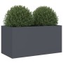 Jardinera de acero laminado en frío antracita 62x30x29 cm de , Maceteros y jardineras - Ref: Foro24-841591, Precio: 52,59 €, ...