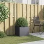 Jardinera de acero laminado en frío antracita 42x40x39 cm de , Maceteros y jardineras - Ref: Foro24-841551, Precio: 46,20 €, ...