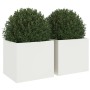Jardineras 2 unidades acero blanco 32x30x29 cm de , Maceteros y jardineras - Ref: Foro24-841538, Precio: 64,13 €, Descuento: %