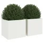 Jardineras 2 unidades acero blanco 32x30x29 cm de , Maceteros y jardineras - Ref: Foro24-841538, Precio: 58,67 €, Descuento: %