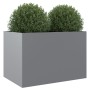 Jardinera de acero galvanizado plateado 62x40x39 cm de , Maceteros y jardineras - Ref: Foro24-841600, Precio: 54,86 €, Descue...