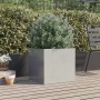 Jardinera de acero inoxidable plateado 49x47x46 cm de , Maceteros y jardineras - Ref: Foro24-841567, Precio: 67,03 €, Descuen...