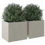 Jardineras 2 unidades acero inoxidable plateado 32x30x29 cm de , Maceteros y jardineras - Ref: Foro24-841544, Precio: 71,79 €...