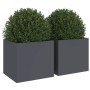 Jardineras 2 unidades acero gris antracita 32x30x29 cm de , Maceteros y jardineras - Ref: Foro24-841540, Precio: 73,39 €, Des...