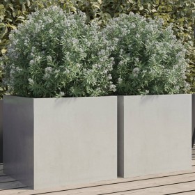 Jardineras 2 unidades acero inoxidable plateado 42x40x39 cm de , Maceteros y jardineras - Ref: Foro24-841556, Precio: 109,77 ...