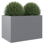 Jardinera de acero galvanizado plateado 62x47x46 cm de , Maceteros y jardineras - Ref: Foro24-841606, Precio: 61,20 €, Descue...