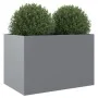Jardinera de acero galvanizado plateado 62x47x46 cm de , Maceteros y jardineras - Ref: Foro24-841606, Precio: 58,31 €, Descue...